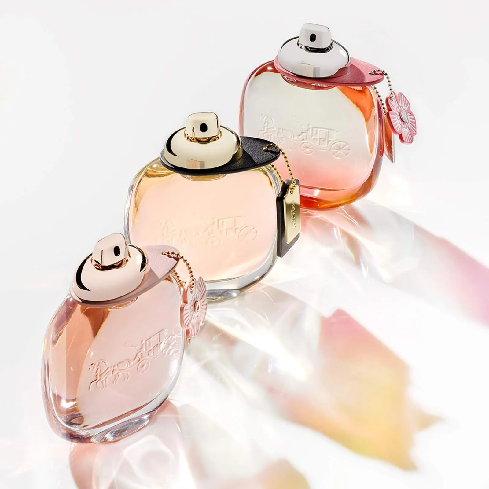 Coach Floral Blush Eau de Parfum for Women